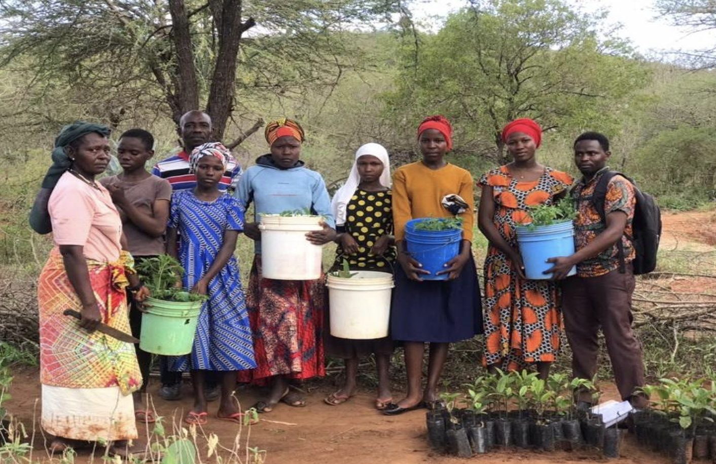 World Creativity and Innovation Day